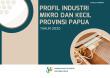 Profil Industri Mikro dan Kecil Provinsi Papua Tahun 2020