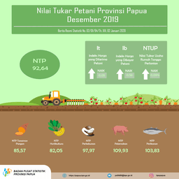 Nilai Tukar Petani Provinsi Papua Desember 2019