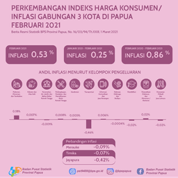 Perkembangan Indeks Harga Konsumen/ Inflasi Gabungan 3 Kota IHK Di Papua  Februari 2021