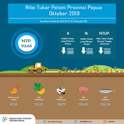 Nilai Tukar Petani Provinsi Papua Oktober 2019