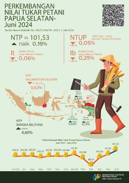 Perkembangan Nilai Tukar Petani Provinsi Papua Selatan Juni 2024