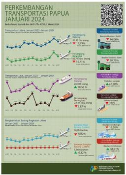 Perkembangan Transportasi Papua Januari 2024