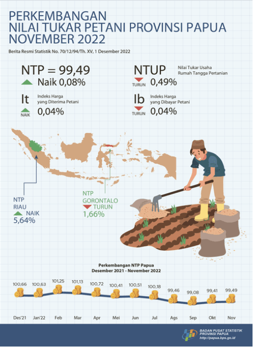 Perkembangan Nilai Tukar Petani Provinsi Papua November 2022