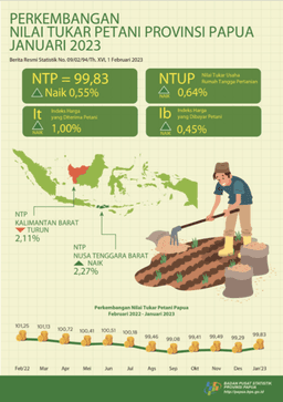 Perkembangan Transportasi Provinsi Papua Desember 2022