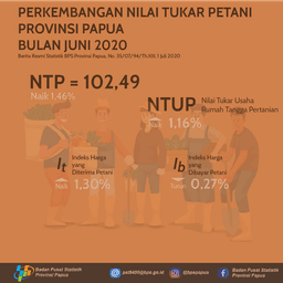 Nilai Tukar Petani Provinsi Papua Juni 2020