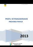 Profil Ketenagakerjaan Provinsi Papua 2013