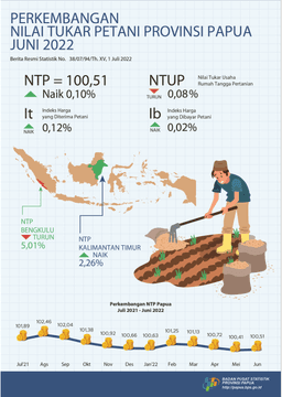 Perkembangan Nilai Tukar Petani Provinsi Papua Juni 2022