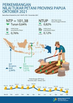 Perkembangan Nilai Tukar Petani Provinsi Papua Oktober 2021