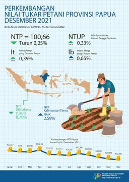 Perkembangan Nilai Tukar Petani Provinsi Papua Desember 2021