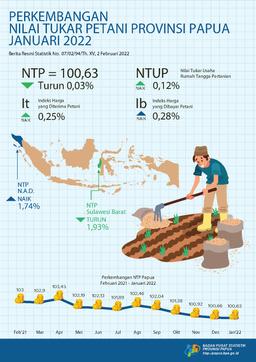 Perkembangan Nilai Tukar Petani Provinsi Papua Januari 2022