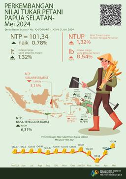 Perkembangan Nilai Tukar Petani Provinsi Papua Selatan Mei 2024
