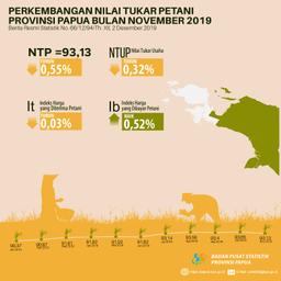 Nilai Tukar Petani Provinsi Papua November 2019