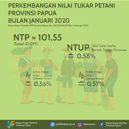 Nilai Tukar Petani Provinsi Papua Januari 2020