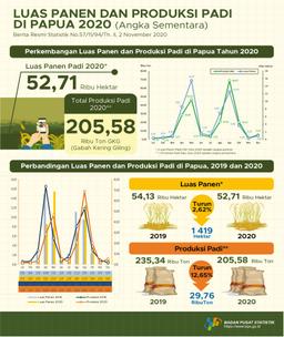 Luas Panen Dan Produksi Padi Di Provinsi Papua 2020 (Angka Sementara)