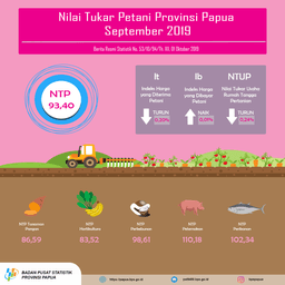 Nilai Tukar Petani Provinsi Papua September 2019