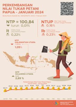 Perkembangan Nilai Tukar Petani Provinsi Papua Januari 2024