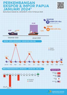 Perkembangan Ekspor Dan Impor Papua Selatan, Januari 2024