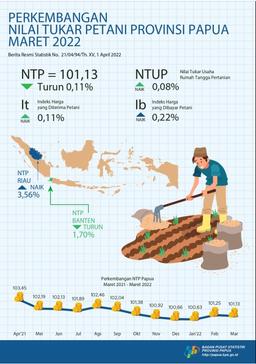 Perkembangan Nilai Tukar Petani Provinsi Papua Maret 2022