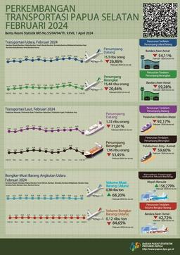 Perkembangan Transportasi Papua Selatan Februari 2024