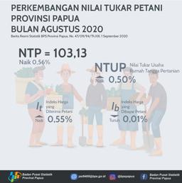 Farmer Exchange Rate Of Papua Province, August 2020