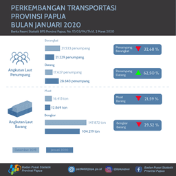 Perkembangan Transportasi Provinsi Papua Bulan Januari 2020