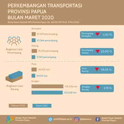 Perkembangan Transportasi Provinsi Papua Bulan Maret 2020