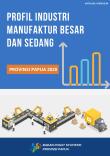 Profil Industri Manufaktur Besar Dan Sedang Provinsi Papua 2020