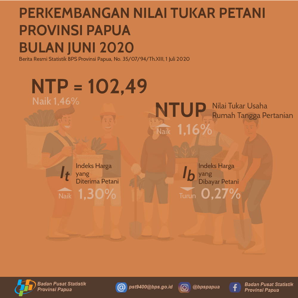 Farmer Terms of Trade of Papua Province, June 2020