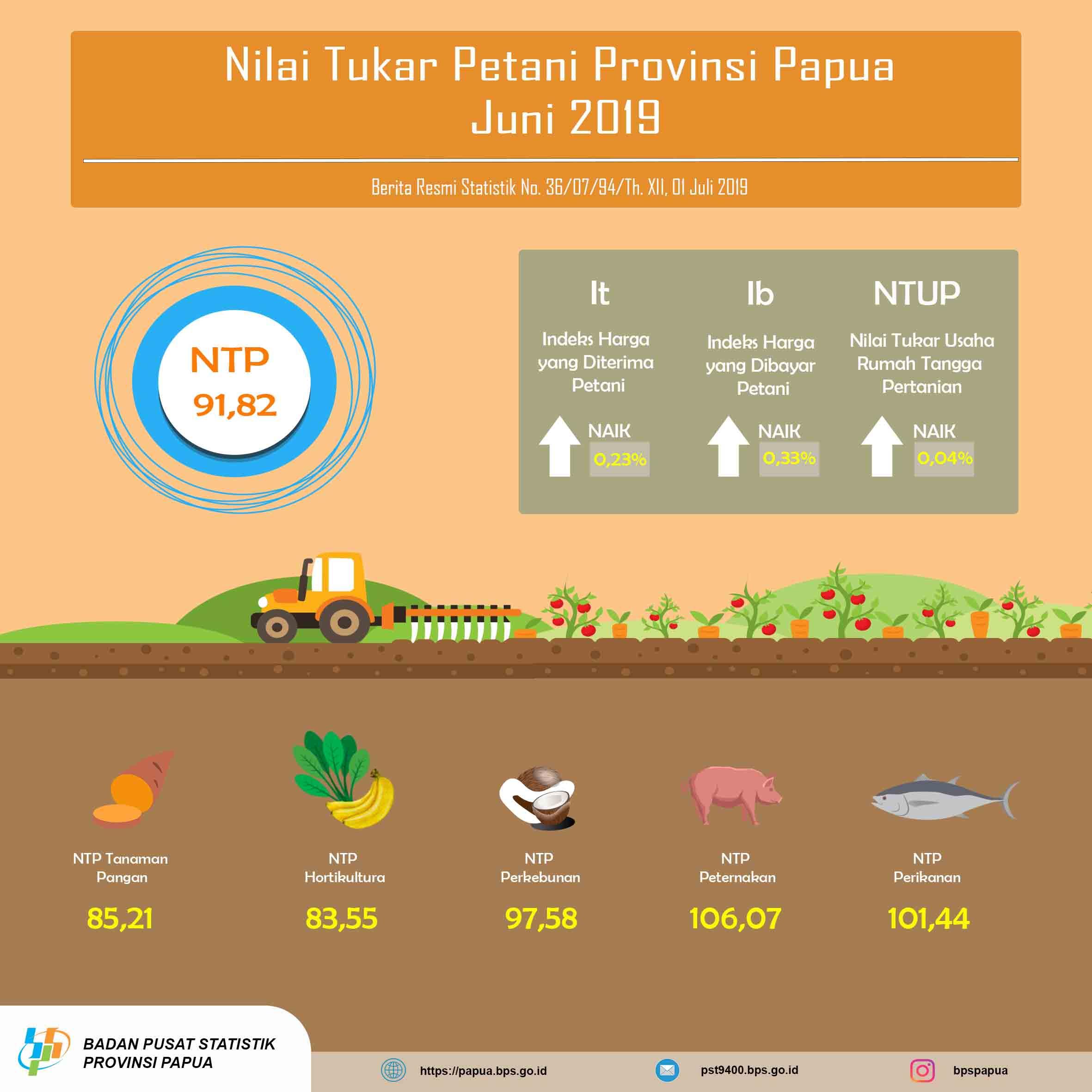 Farmer Terms of Trade of Papua Province, June 2019