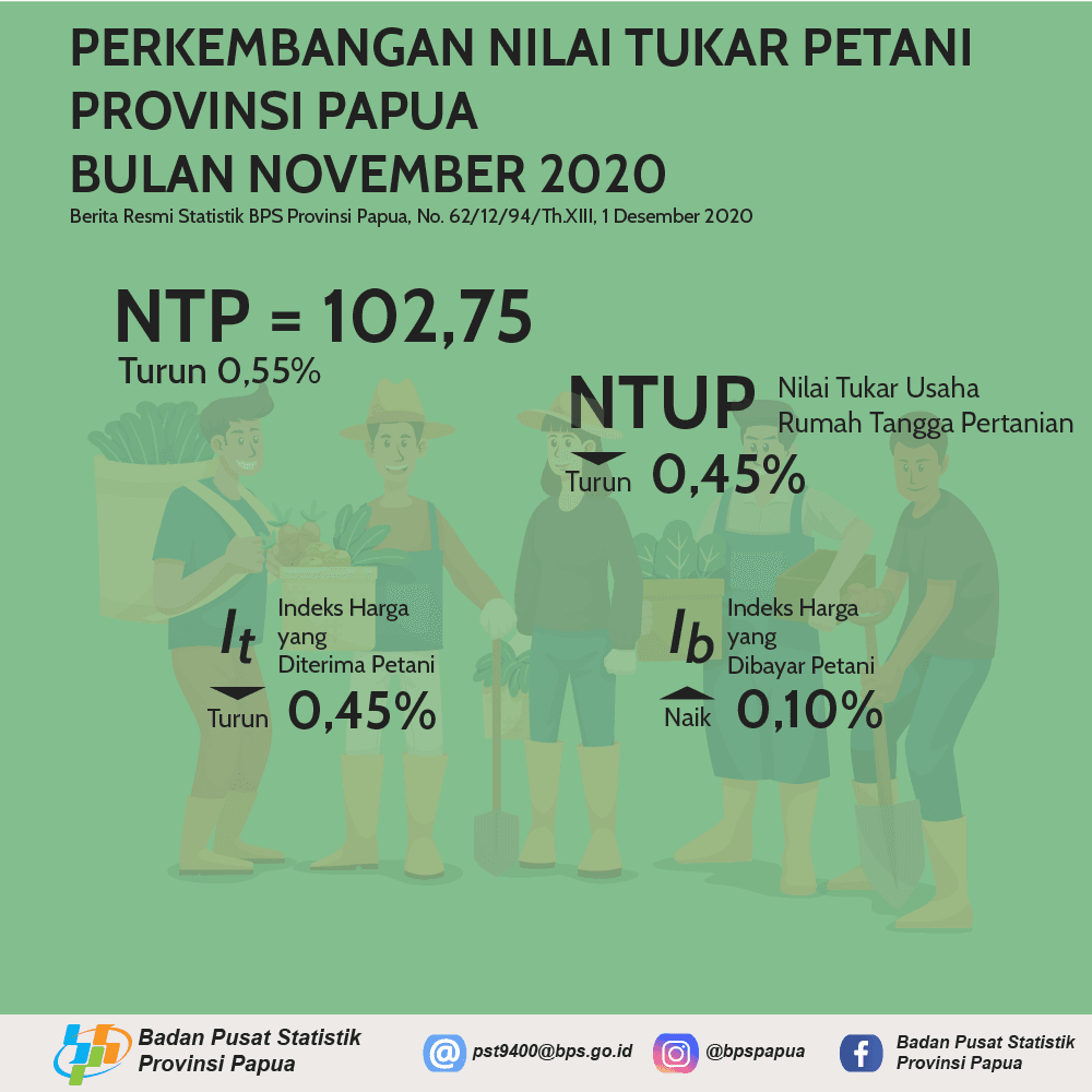 Nilai Tukar Petani Provinsi Papua November 2020