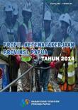 Profil Ketenagakerjaan Provinsi Papua 2014