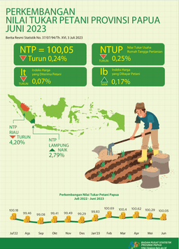 Perkembangan Nilai Tukar Petani Provinsi Papua Juni 2023