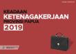 Keadaan Ketenagakerjaan Provinsi Papua 2019