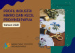 Profil Industri Mikro dan Kecil Provinsi Papua Tahun 2021